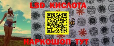 ГАЛЛЮЦИНОГЕННЫЕ ГРИБЫ Заволжье
