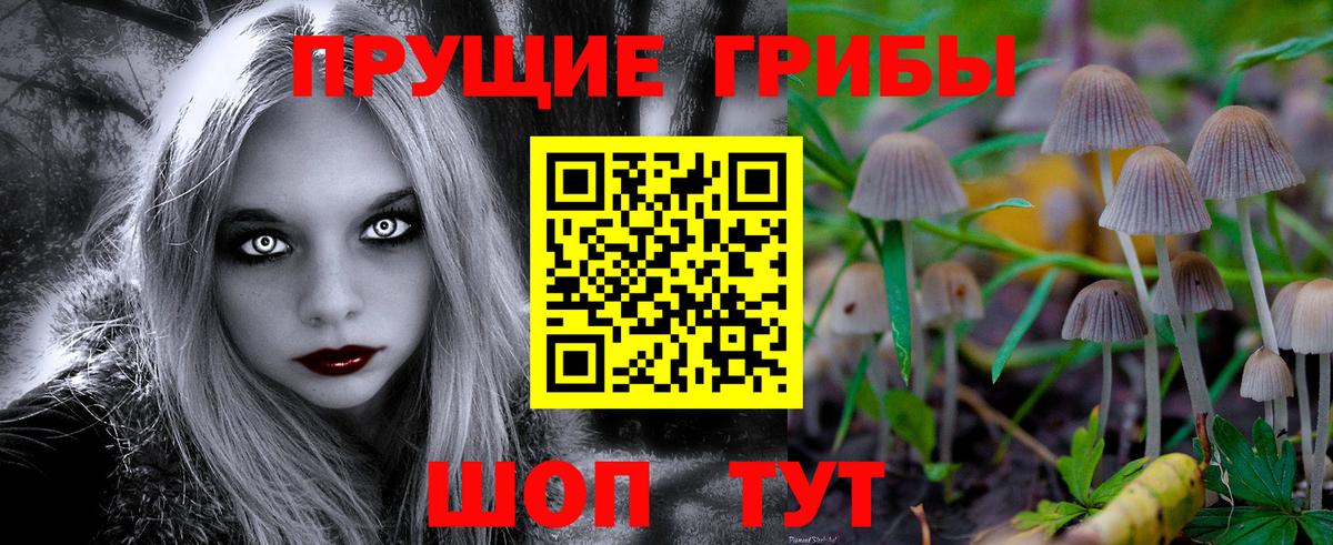 Псилоцибиновые грибы MAGIC MUSHROOMS Лосино-Петровский